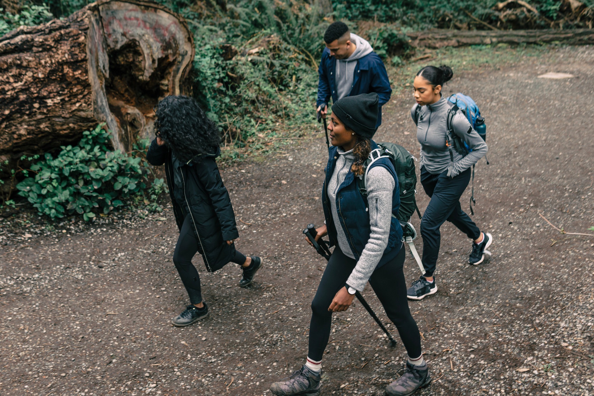 Group hiking through forest trail
